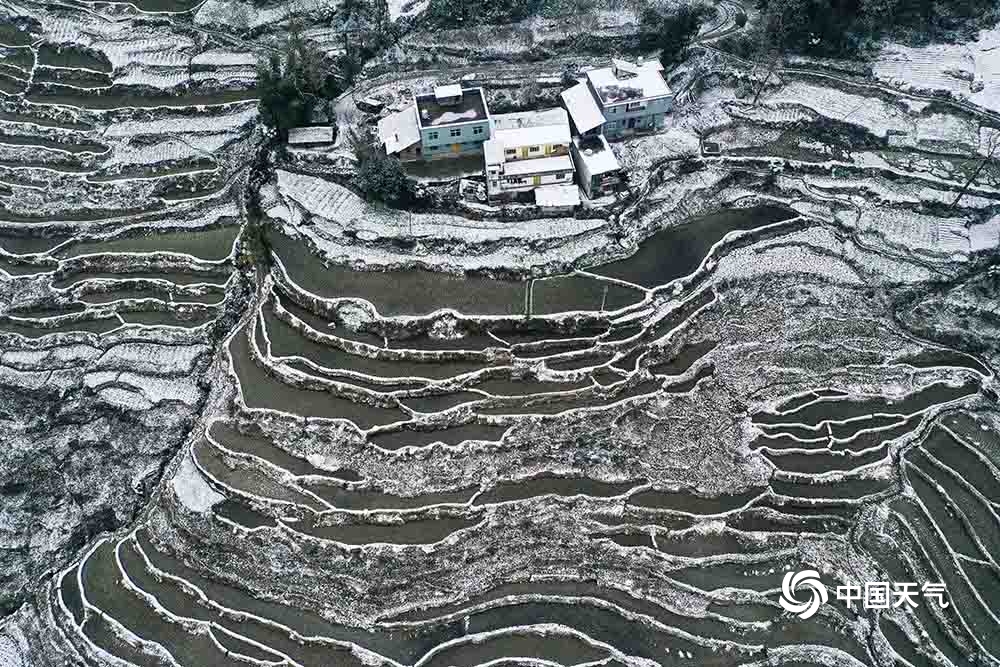 重庆黔江普降大雪 梯田被积雪覆盖美不胜收