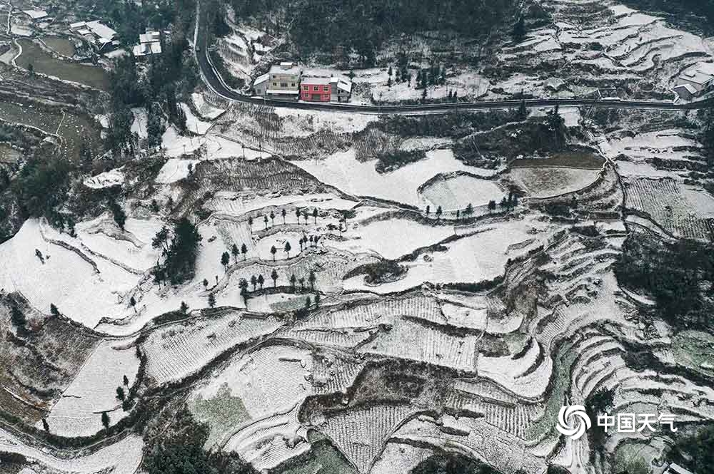 重庆黔江普降大雪 梯田被积雪覆盖美不胜收