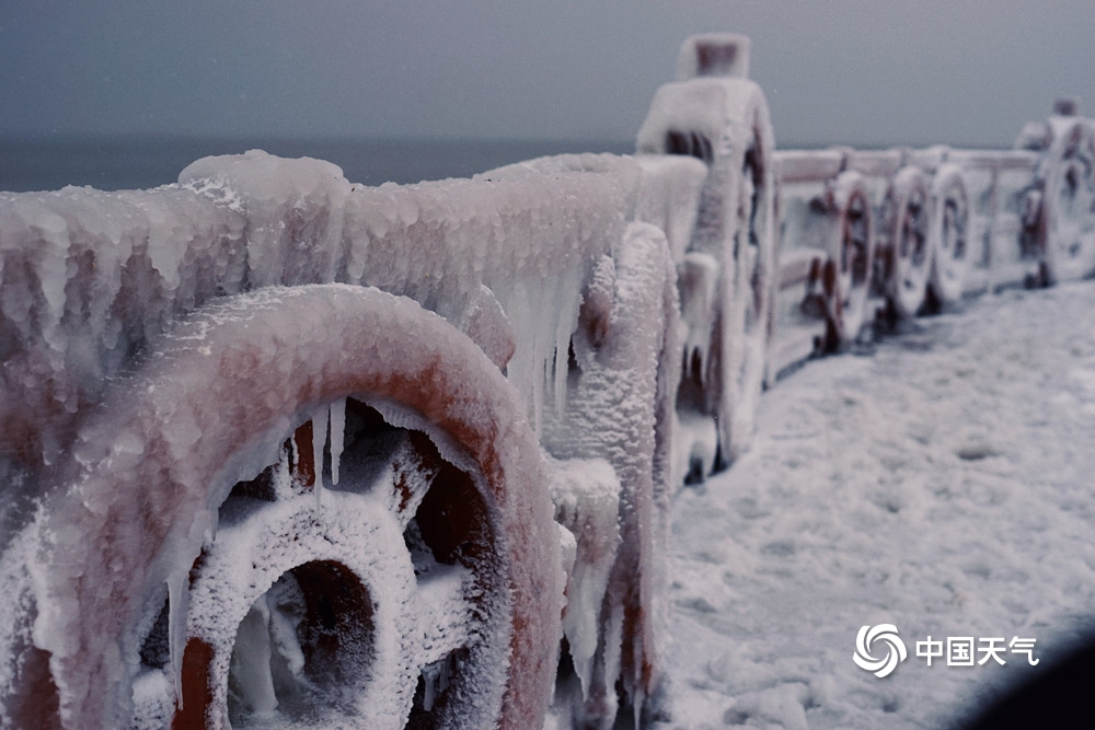 暴雪侵袭!山东烟台雪后景象犹如“冰河世纪”