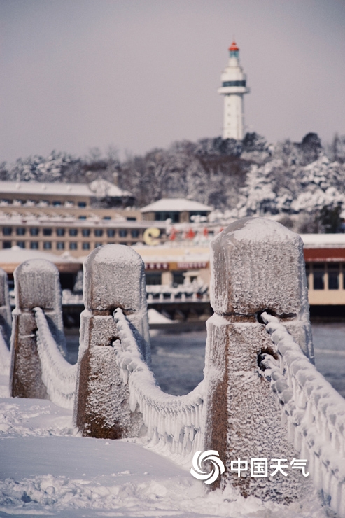 暴雪侵袭!山东烟台雪后景象犹如“冰河世纪”