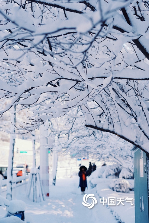 暴雪侵袭!山东烟台雪后景象犹如“冰河世纪”