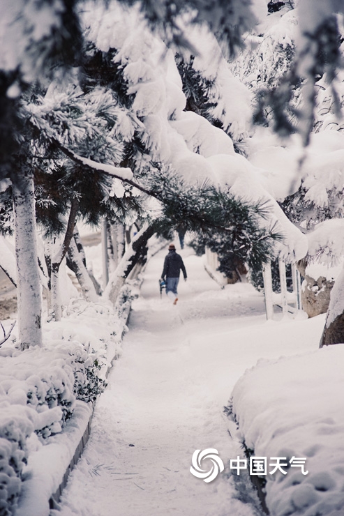 暴雪侵袭!山东烟台雪后景象犹如“冰河世纪”