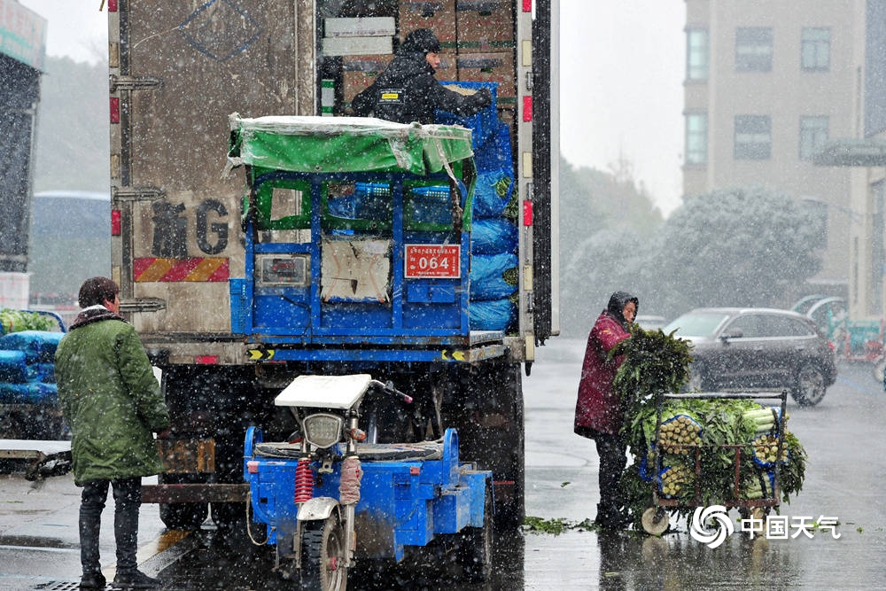 浙江金华漫天飞雪 农产品市场一派繁忙保供应