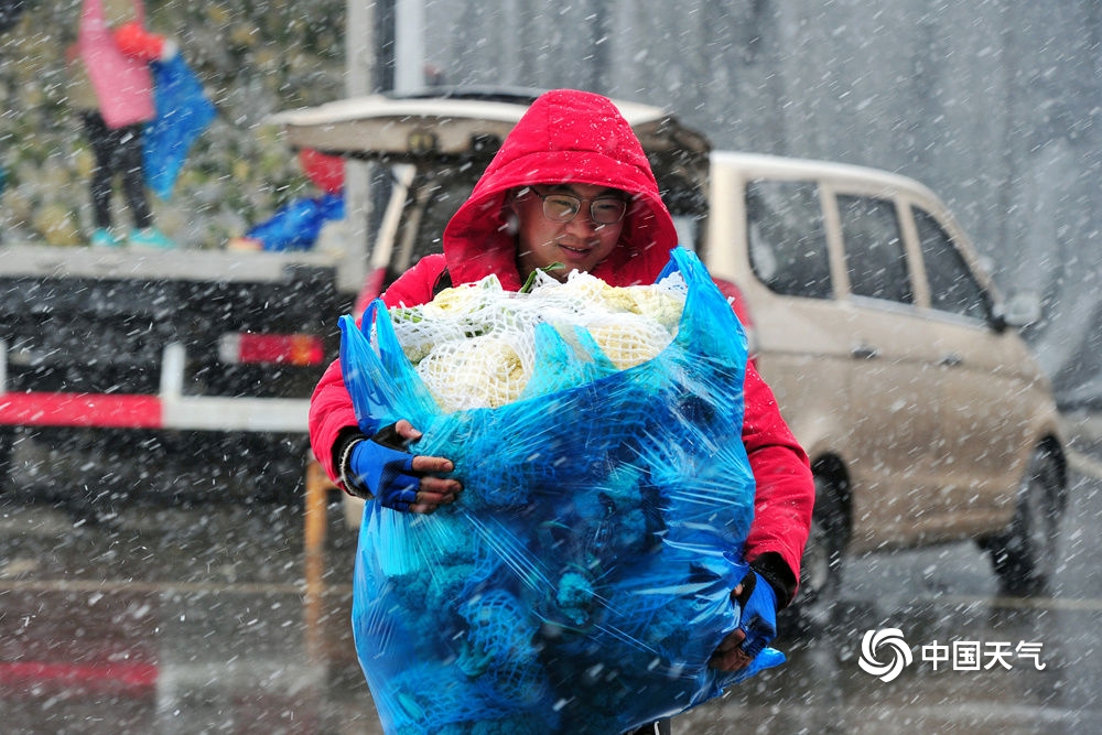 浙江金华漫天飞雪 农产品市场一派繁忙保供应