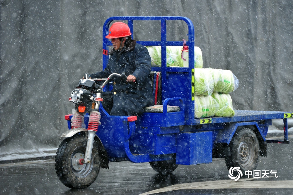 浙江金华漫天飞雪 农产品市场一派繁忙保供应