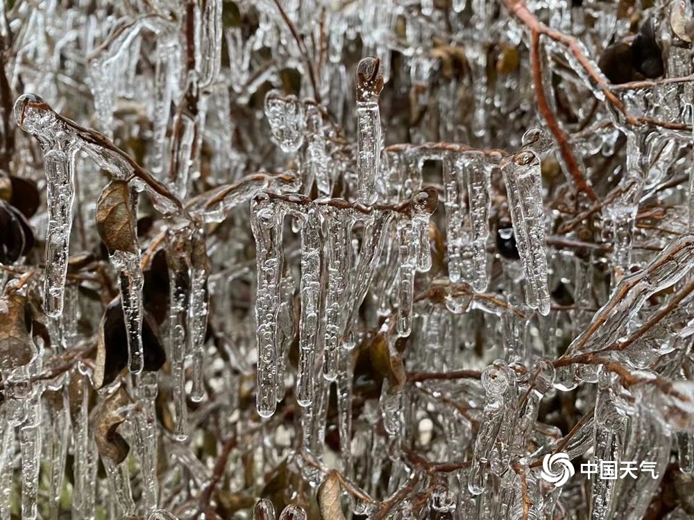 白雪皑皑！寒潮过境 江西多地高山白雪美如仙境