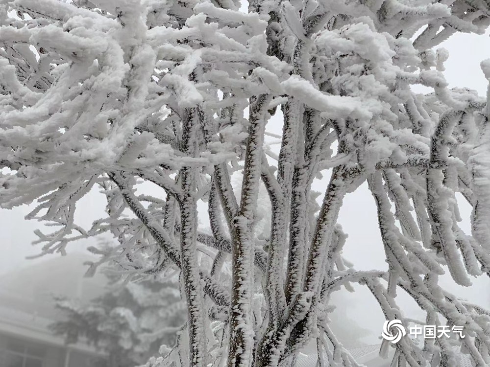 白雪皑皑!寒潮过境 江西多地高山白雪美如仙境
