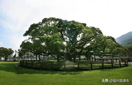 福州最值得你去的7个景点,都去过的你一定会爱上福州