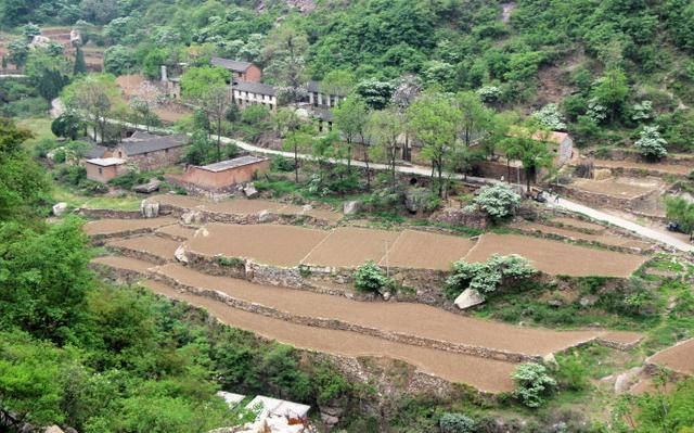 河南这六个原生态景点:人少、景美,无门票!现在去正好