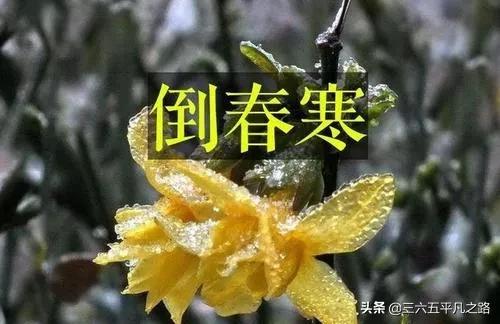 2021年有倒春寒天气吗?看小寒节气俗语怎么说,看完心中有数