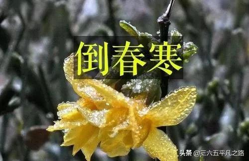 2021年有倒春寒天气吗？看小寒节气俗语怎么说，看完心中有数