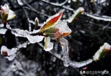 2021年有倒春寒天气吗?看小寒节气俗语怎么说,看完心中有数