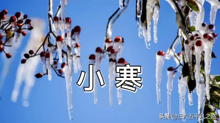 2021年有倒春寒天气吗?看小寒节气俗语怎么说,看完心中有数