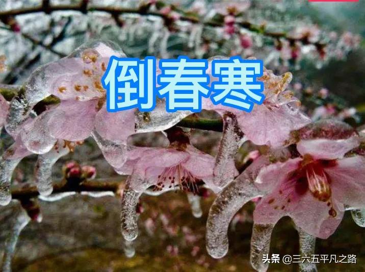 2021年有倒春寒天气吗?看小寒节气俗语怎么说,看完心中有数