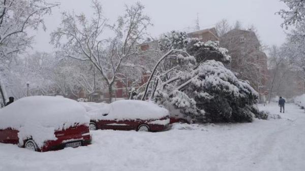 西班牙马德里暴雪天气致一人死亡