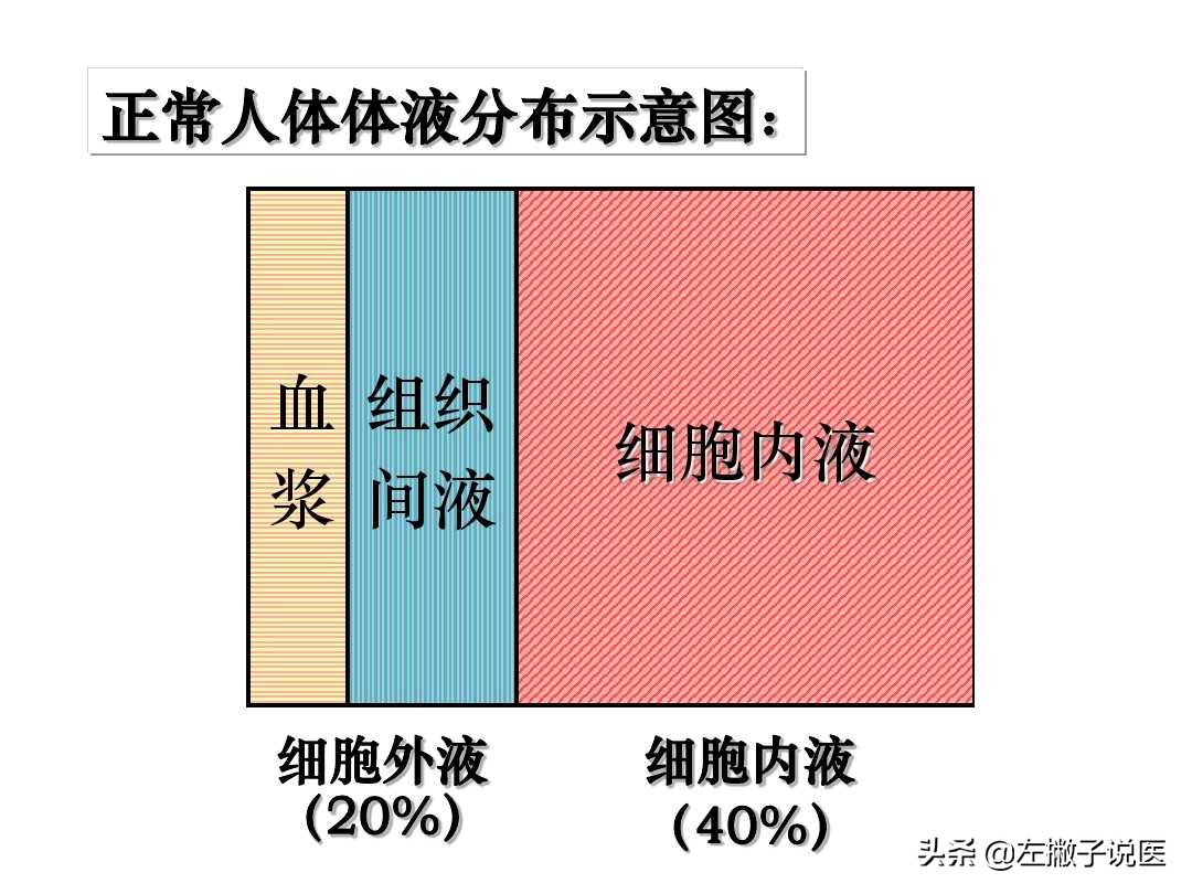 糖尿病患者应该多喝水还是少喝水？一文说清，教糖友如何科学喝水