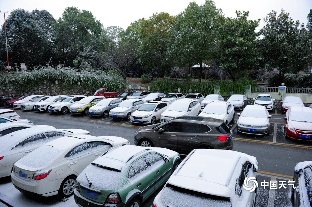 贵阳迎降雪 镜头记录下的“雪中人雪中景”