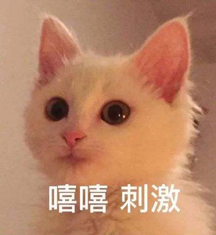 刷屏!厦门昨晚下雪了?本周天气更刺激!直冲22℃+!
