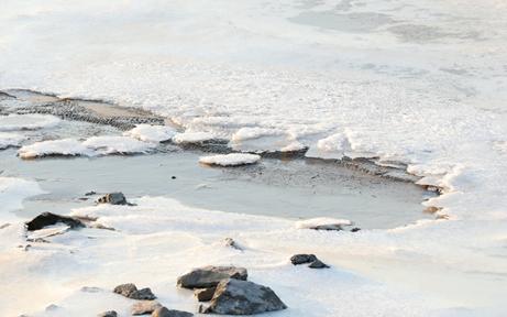 大回温！杭州本周直逼20℃！活久见！接下来天气又大反转......