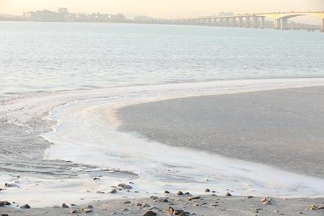 大回温！杭州本周直逼20℃！活久见！接下来天气又大反转......