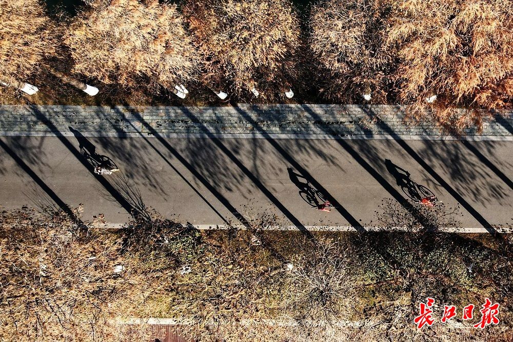 1月下旬天气回暖?今冬到底是“暖冬”还是“冷冬”?最新天气消息来了