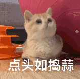 火箭式升温来了,本周郑州天气怎么样?