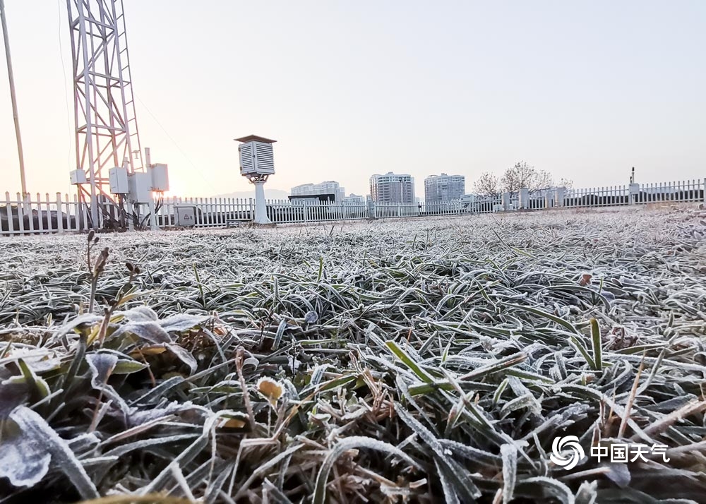 贵州多地出现2021年初霜 晶莹剔透美如画