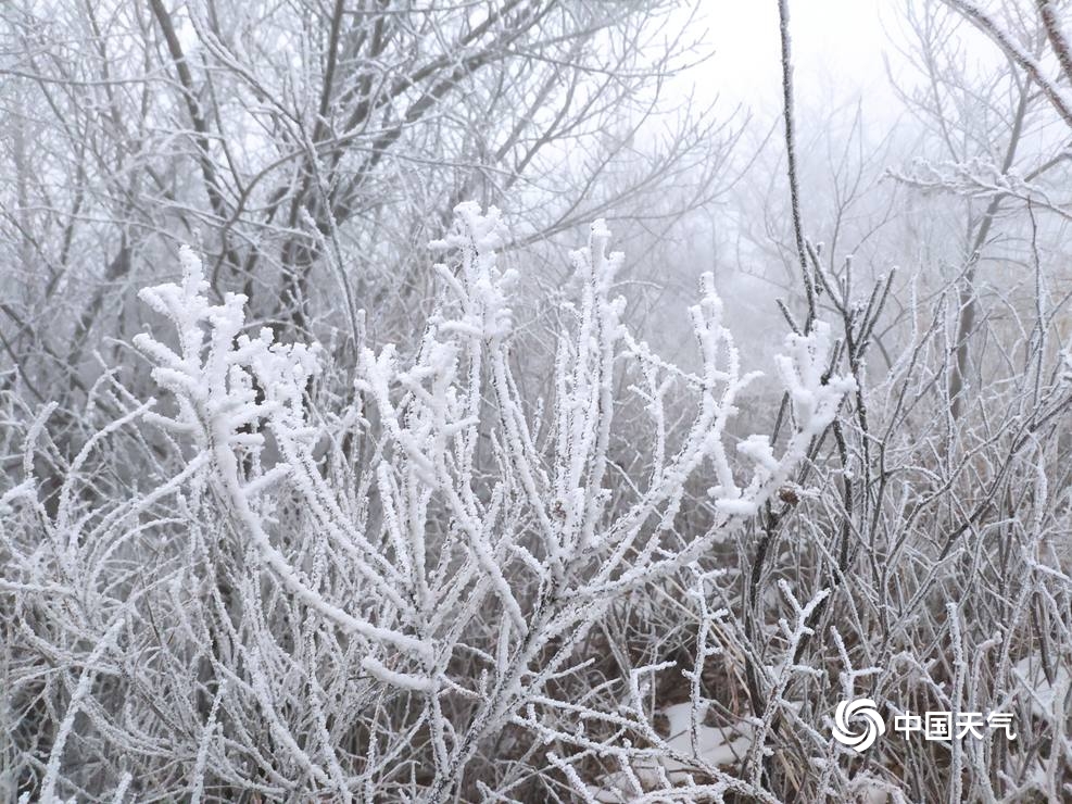 北京佛爷顶雪花与雾凇不期而遇 交织成一幅冬日美景
