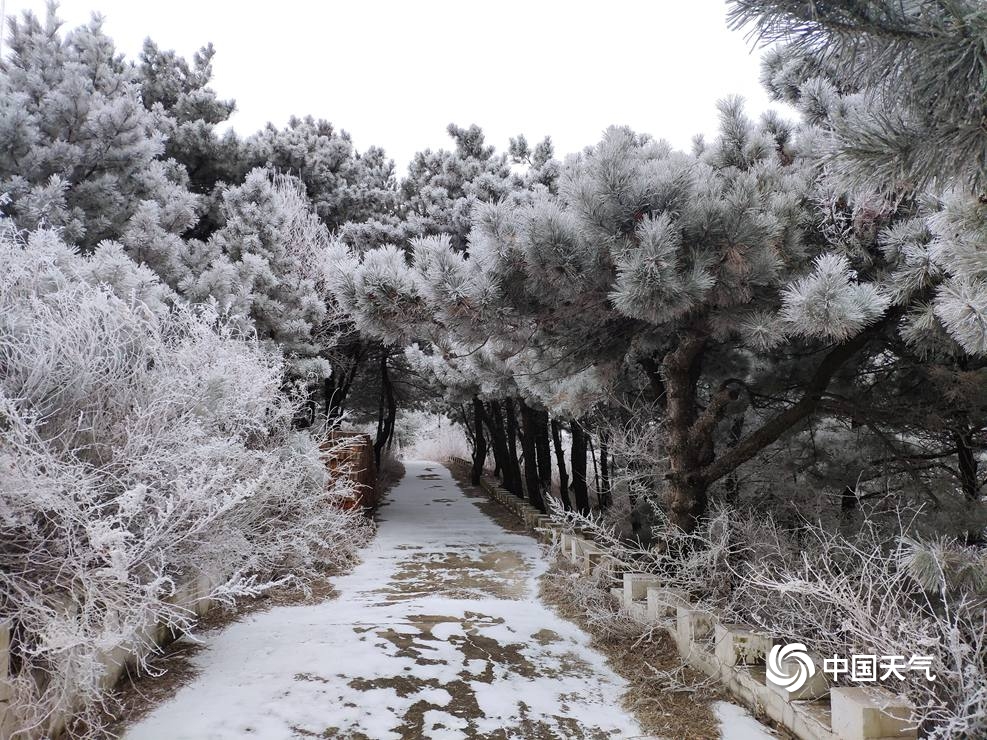 北京佛爷顶雪花与雾凇不期而遇 交织成一幅冬日美景