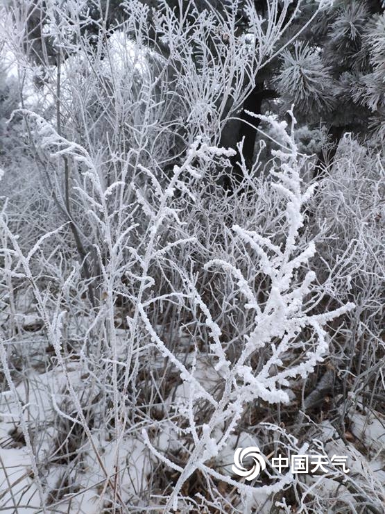 北京佛爷顶雪花与雾凇不期而遇 交织成一幅冬日美景