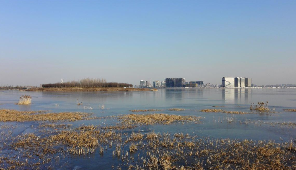 河南天气预报：温度已回暖？别高兴太早，后天或有小雪