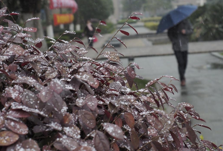 河南天气预报：温度已回暖？别高兴太早，后天或有小雪