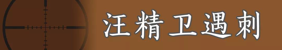 刺杀汪精卫!