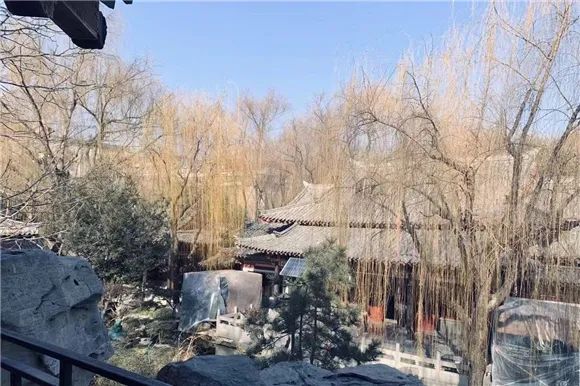 天气 | 9℃+7级风！济南“四九”不走寻常路 未来三天气温回暖阵风起
