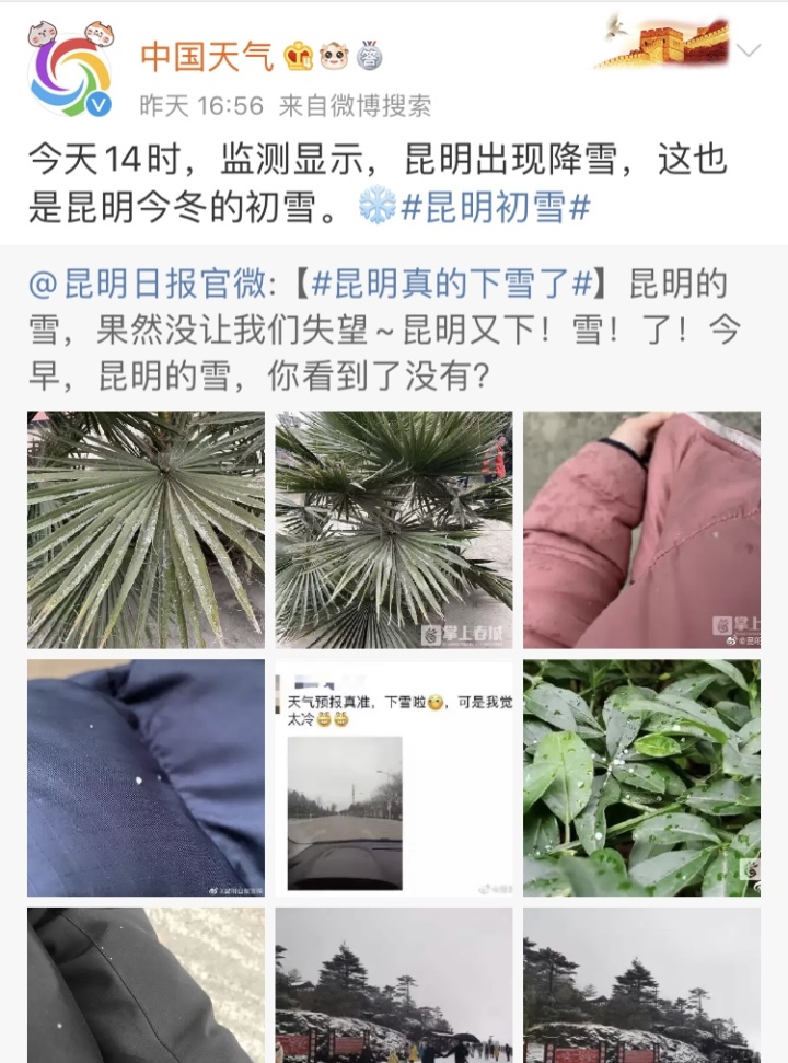 杭州的天气是开挂了吗？四九天里冲20℃