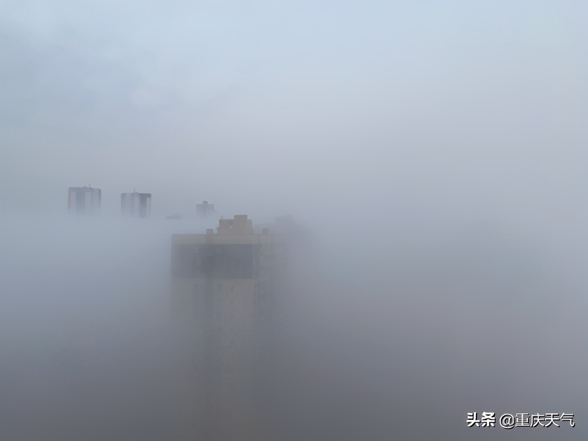 重庆多地遭遇浓雾明后天雨雪天气重启