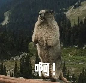 冷后回暖又下雨,回南天要来?至于你关心的春节天气…