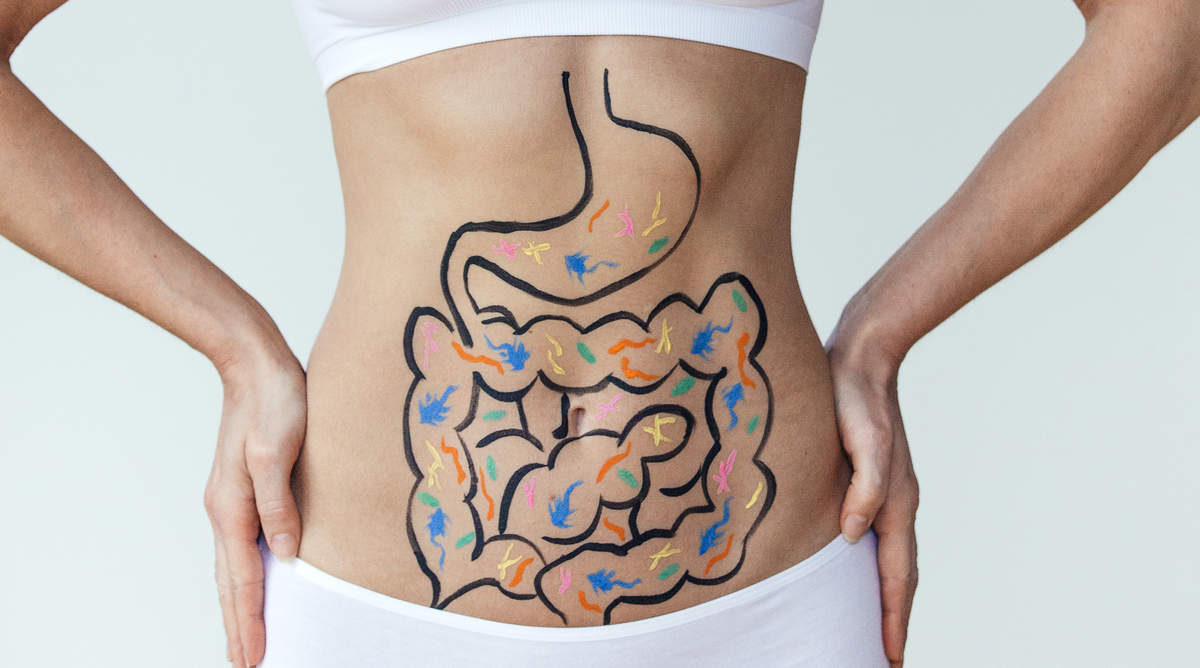 肠道细菌是如何帮助人体维持健康的？一文给你说清楚 | 科普