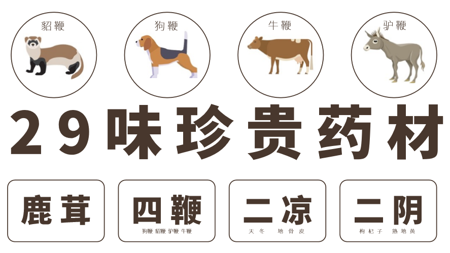 肾虚了人不精神，“补肾佳品”参茸鞭丸，男女双补调和阴阳
