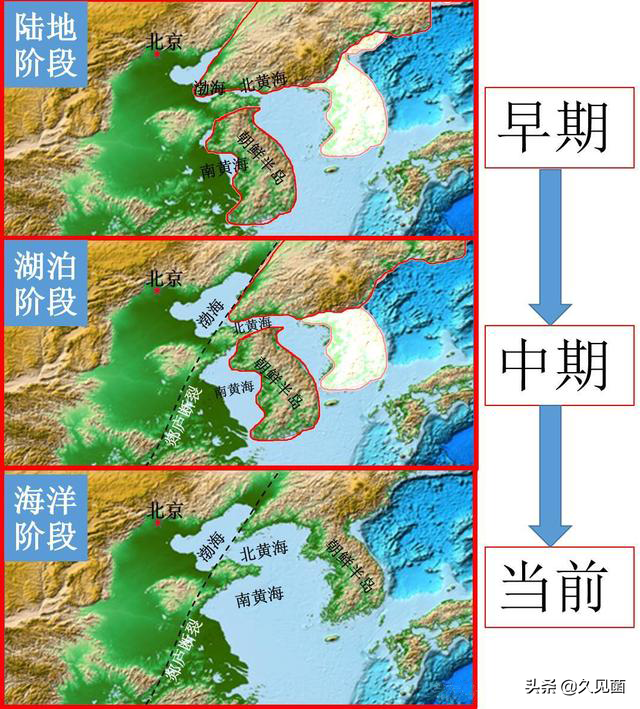 大连蛇岛为何有那么多毒蛇？不足1平方公里，隐藏近2万条毒蛇