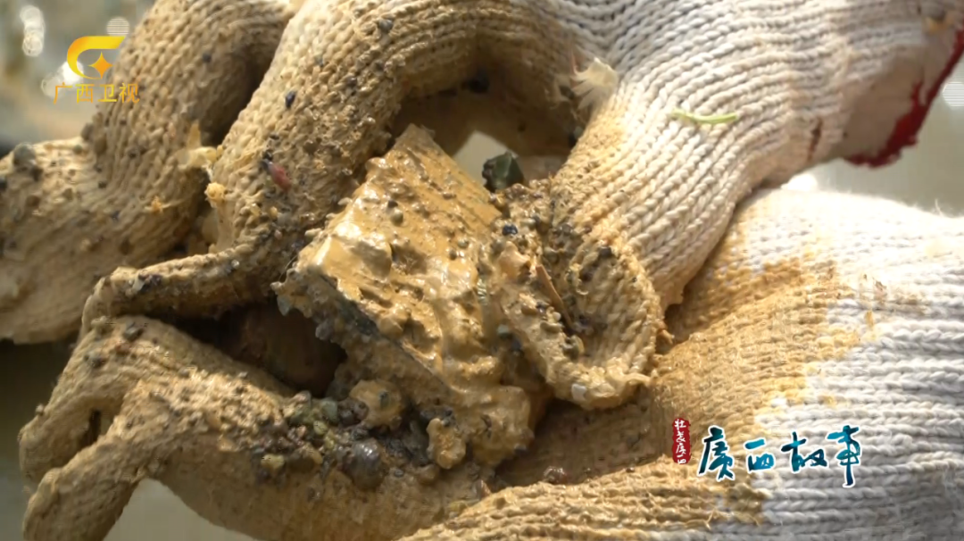 一块水里捞出的金属疙瘩,揭开广西鲜为人知的历史