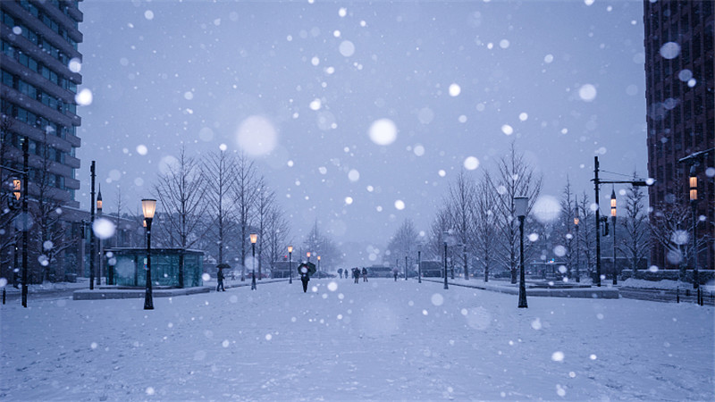 冷！－6℃ 雨夹雪、冻雨+冰、北风！美东地区迎来新一轮恶劣天气