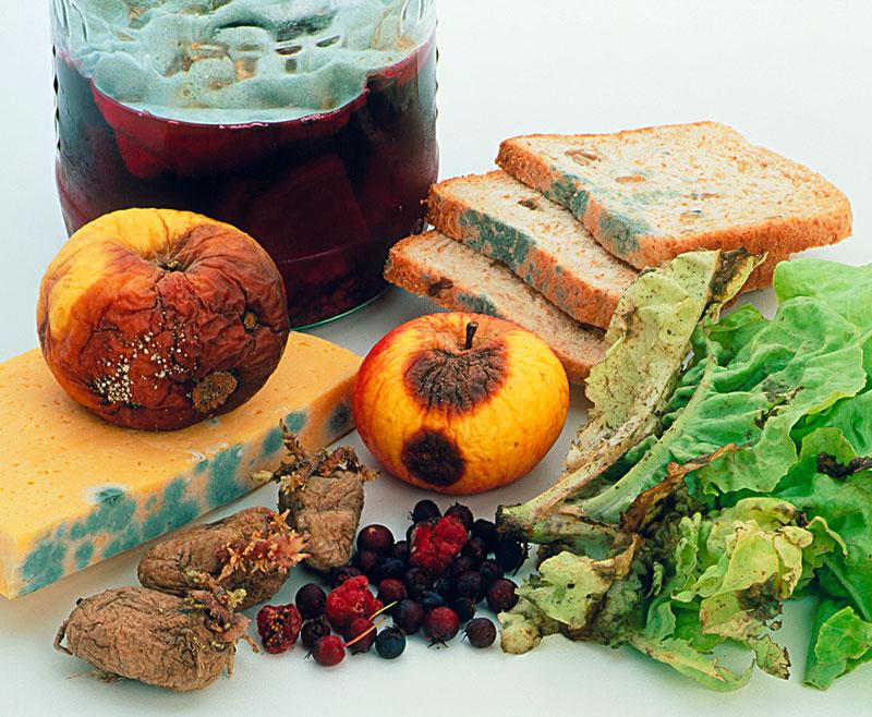 食为天,胃为先:胃不好的人,少吃4类食物,你知道是哪四类?
