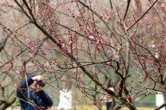 杭州平原地区最大偏北阵