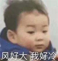 双蓝预警高挂,先降10℃再回升?本周金山天气有些魔幻