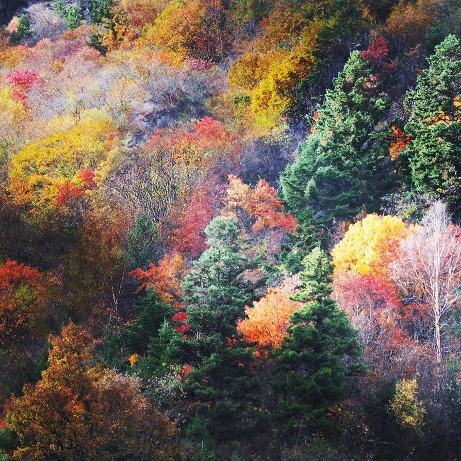忘记稻城吧!四川这7个绝美旅行地,目测马上要火