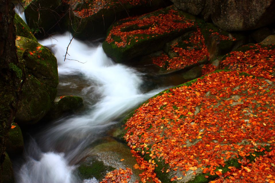忘记稻城吧!四川这7个绝美旅行地,目测马上要火