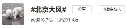 温度记|4波冷空气候场,你们想要的春节天气也来了