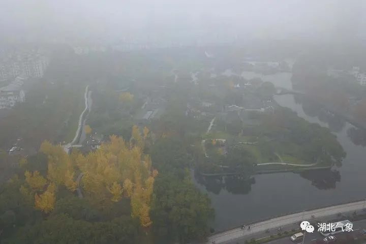 雨水今晚来报到 明天全省有雨不利出行！