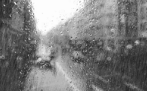 雨水今晚来报到 明天全省有雨不利出行!